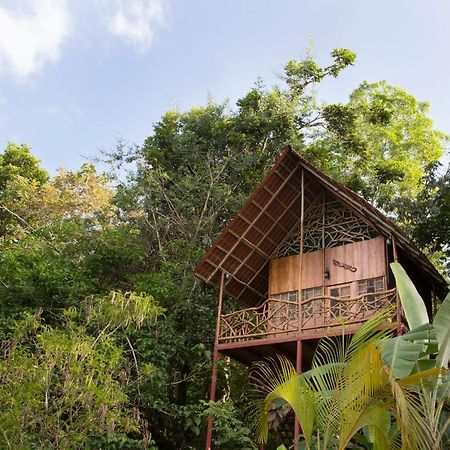 Bio Thermales Hot Springs Villa Palmera Buitenkant foto