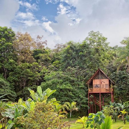 Bio Thermales Hot Springs Villa Palmera Buitenkant foto