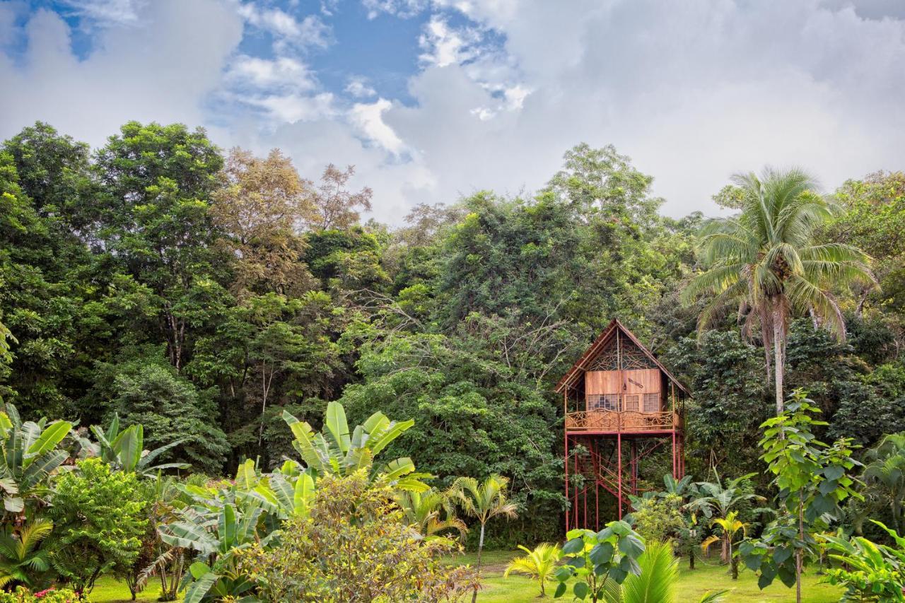 Bio Thermales Hot Springs Villa Palmera Buitenkant foto