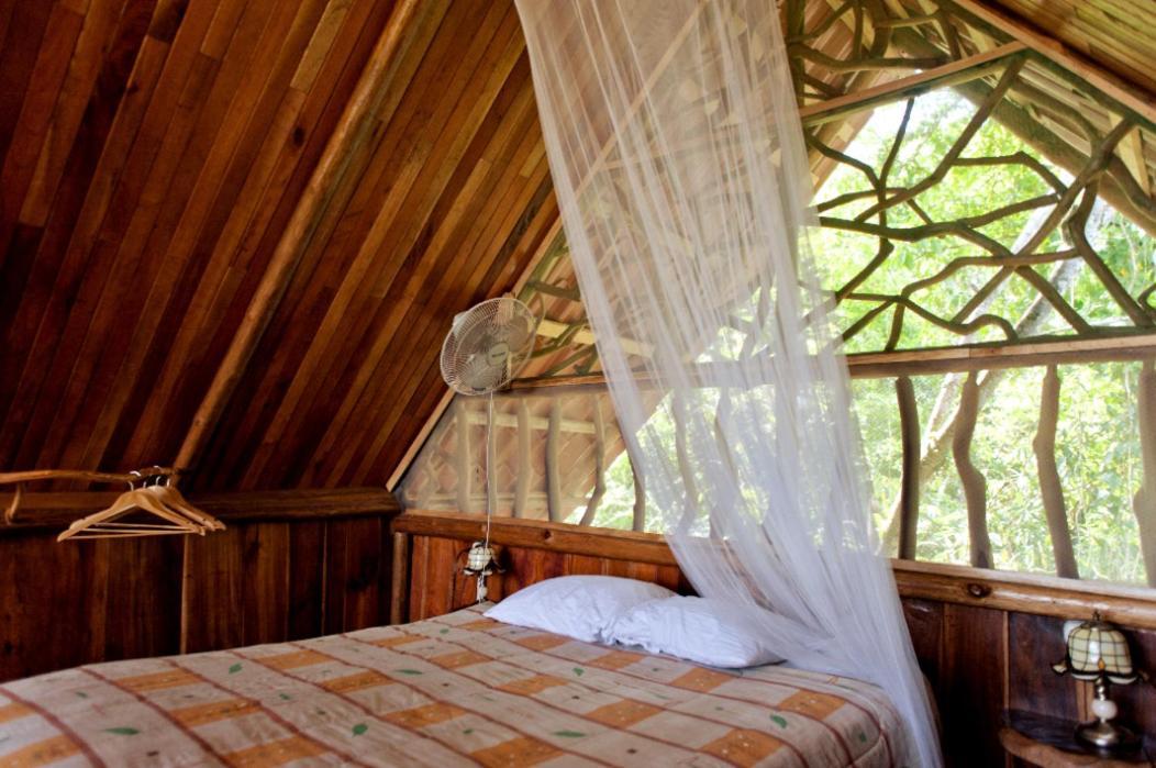 Bio Thermales Hot Springs Villa Palmera Buitenkant foto