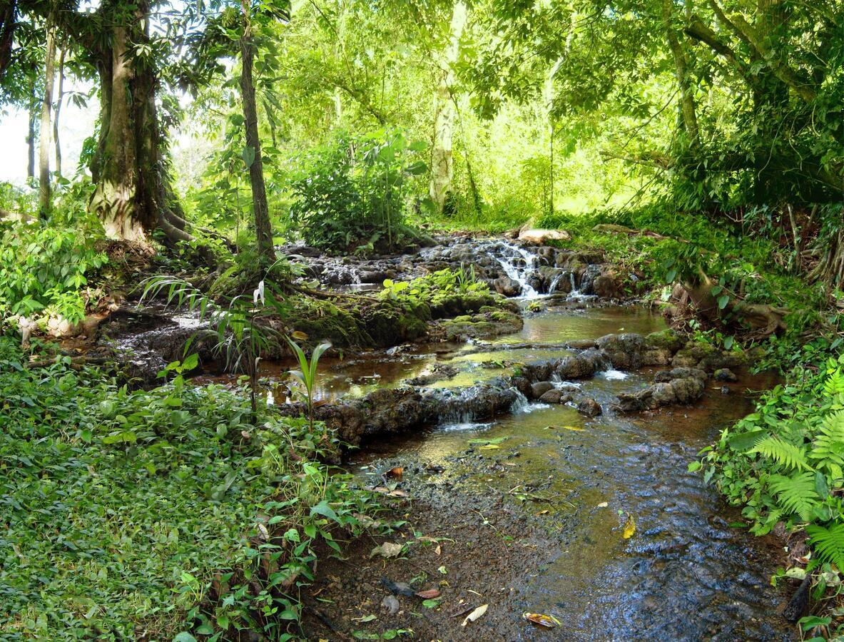 Bio Thermales Hot Springs Villa Palmera Buitenkant foto