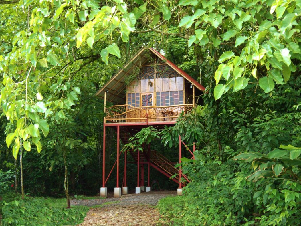 Bio Thermales Hot Springs Villa Palmera Buitenkant foto