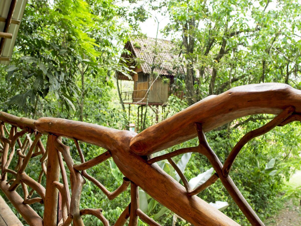 Bio Thermales Hot Springs Villa Palmera Buitenkant foto
